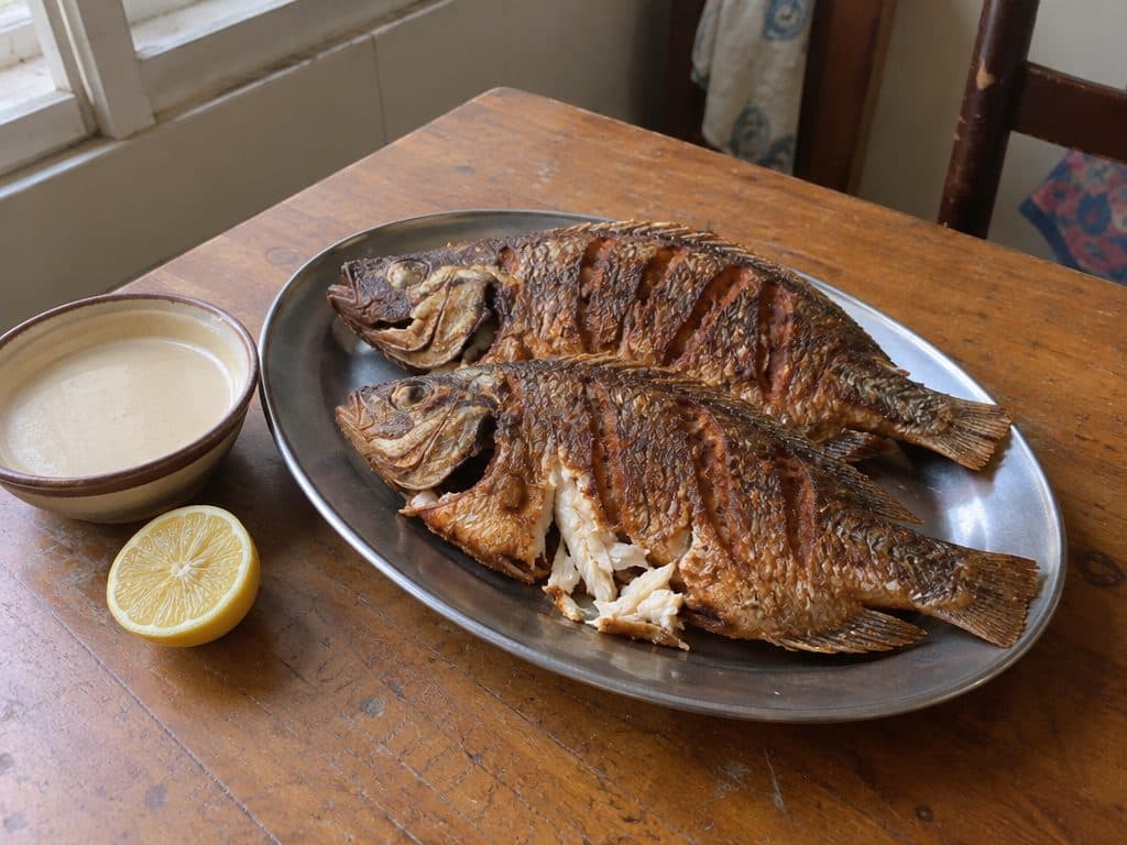 سمك بلطي مقلي